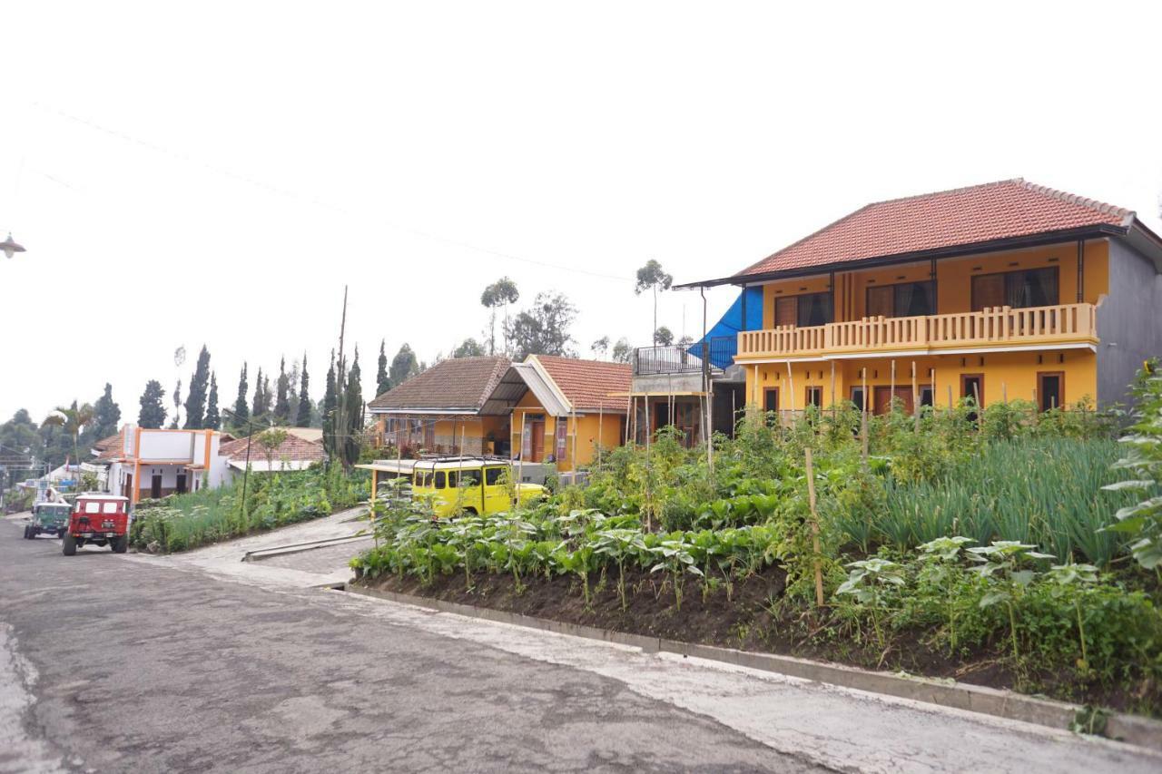 Homestay Lereng Bromo Exterior photo