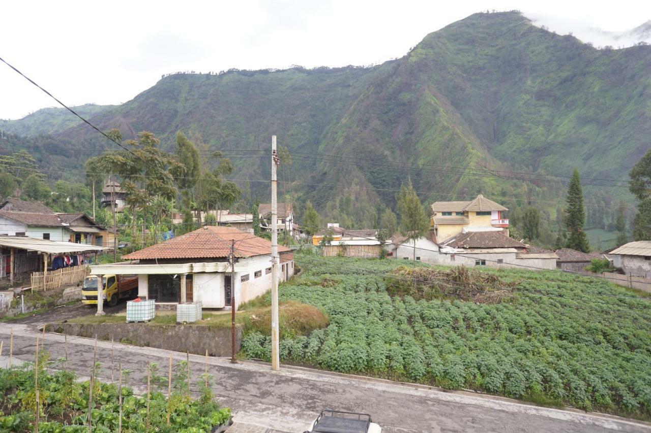 Homestay Lereng Bromo Exterior photo