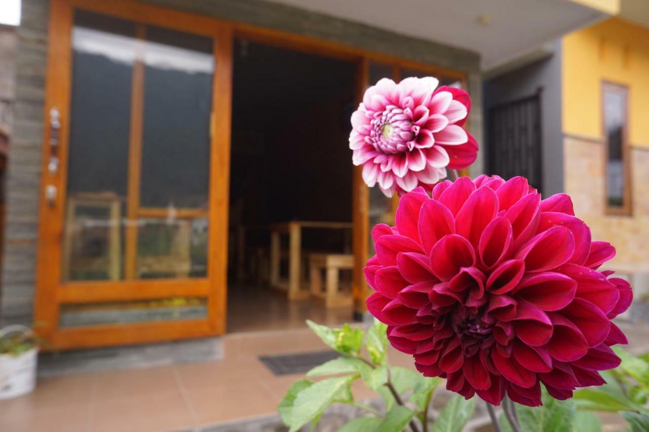 Homestay Lereng Bromo Exterior photo